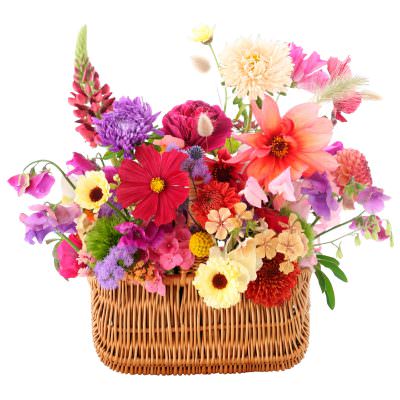 Дизайнерская композиция живых цветов «Праздничные мотивы»